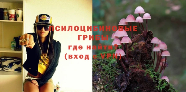 сатива Заволжье