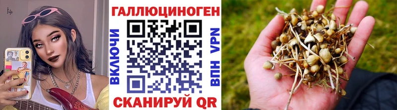 Псилоцибиновые грибы мицелий Владимир
